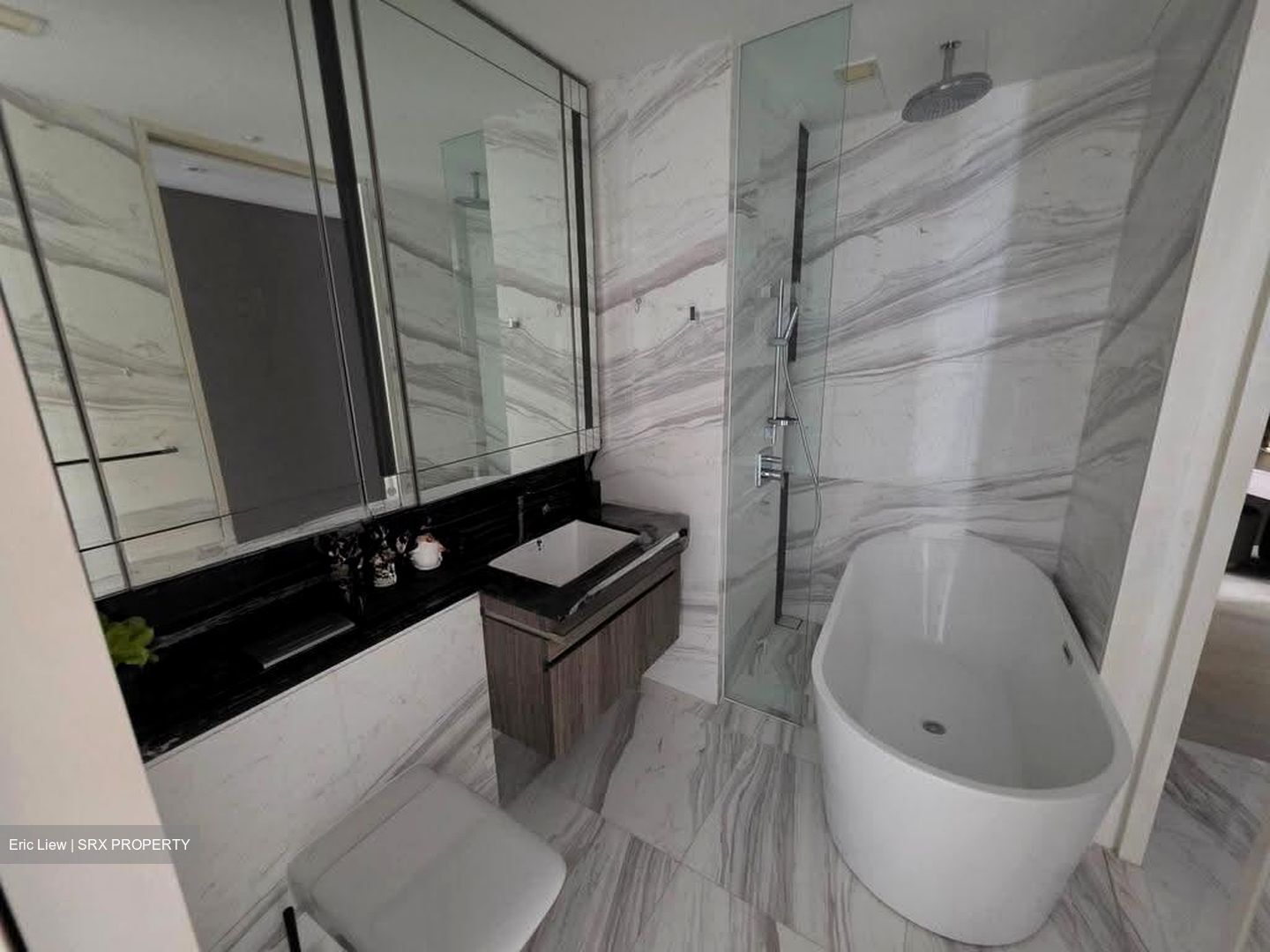 Wallich Residence  (D2), Condominium #611209091
